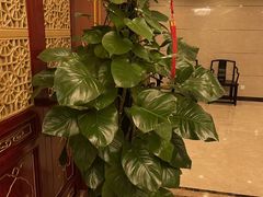 -蓬莱阁中餐厅(崇文门店)