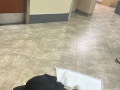 -美联众合动物医院·24h转诊中心