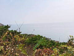 -燕窝岭
