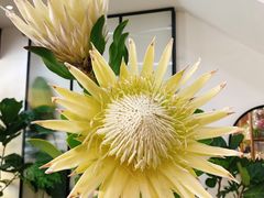 -森野花艺培训·企业团建活动沙龙