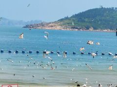 -海驴岛(荣成市)