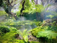 -Chom Cafe and Restaurant