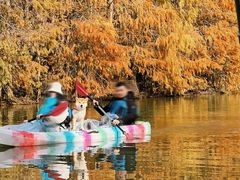 -上海海湾国家森林公园