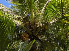 -海南清水湾莱佛士酒店