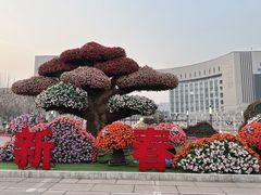 -国家动漫园