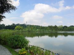 -东莞植物园