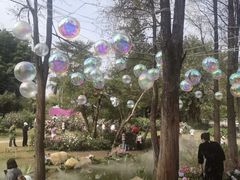 -人民公园(罗湖区)