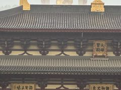 -庐山风景名胜区-东林大佛