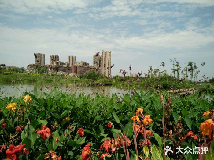 香城湿地公园-图片-新都区景点/周边游-大众点评网