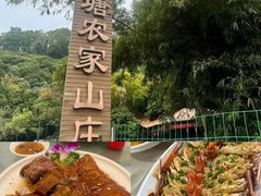 -鲤鱼塘农家山庄