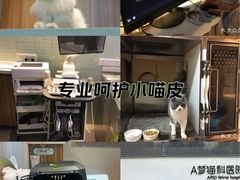 -御宝贝·A梦猫科宠物医院(国际猫友好医院)