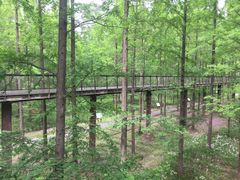 -黄海国家森林公园