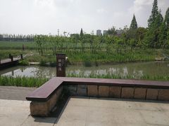 -长田漾湿地公园
