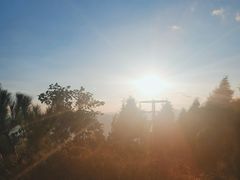 -长虫山生态公园风景林