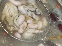 鲜人参锅底-千岛蚝高压锅生蚝·人参火锅(白云万达店)