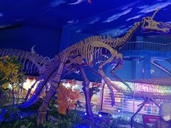 -诸城市恐龙博物馆