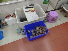 -七的湖·江南蟹舫·阳澄湖农家菜(蟹舫苑店)