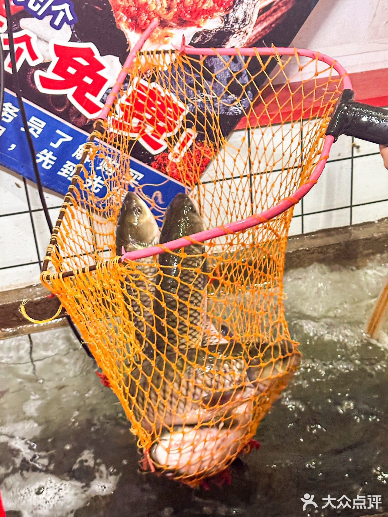 我希望我爱的沈姐把顶流也迷倒！！