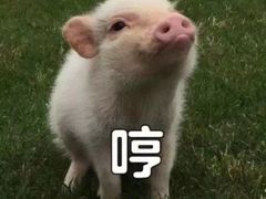 -凯司令西点房(南京东路店)