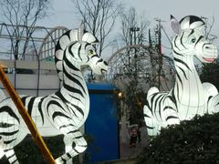 -国色天乡三期陆地乐园