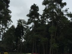 -保利石象湖景区