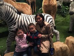 -济州岛泰迪熊博物馆