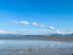 -深圳湾公园(南山区)