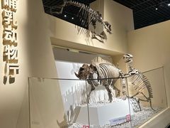 -国家自然博物馆