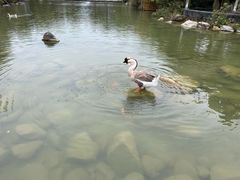 -水底山庄园温泉
