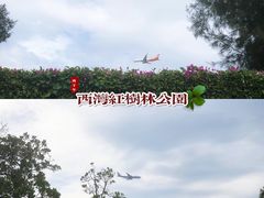 -宝安西湾红树林湿地公园