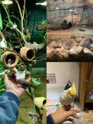 -Zoolung Zoolung动物主题公园(海信广场店)