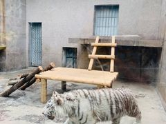 景点-西安秦岭野生动物园