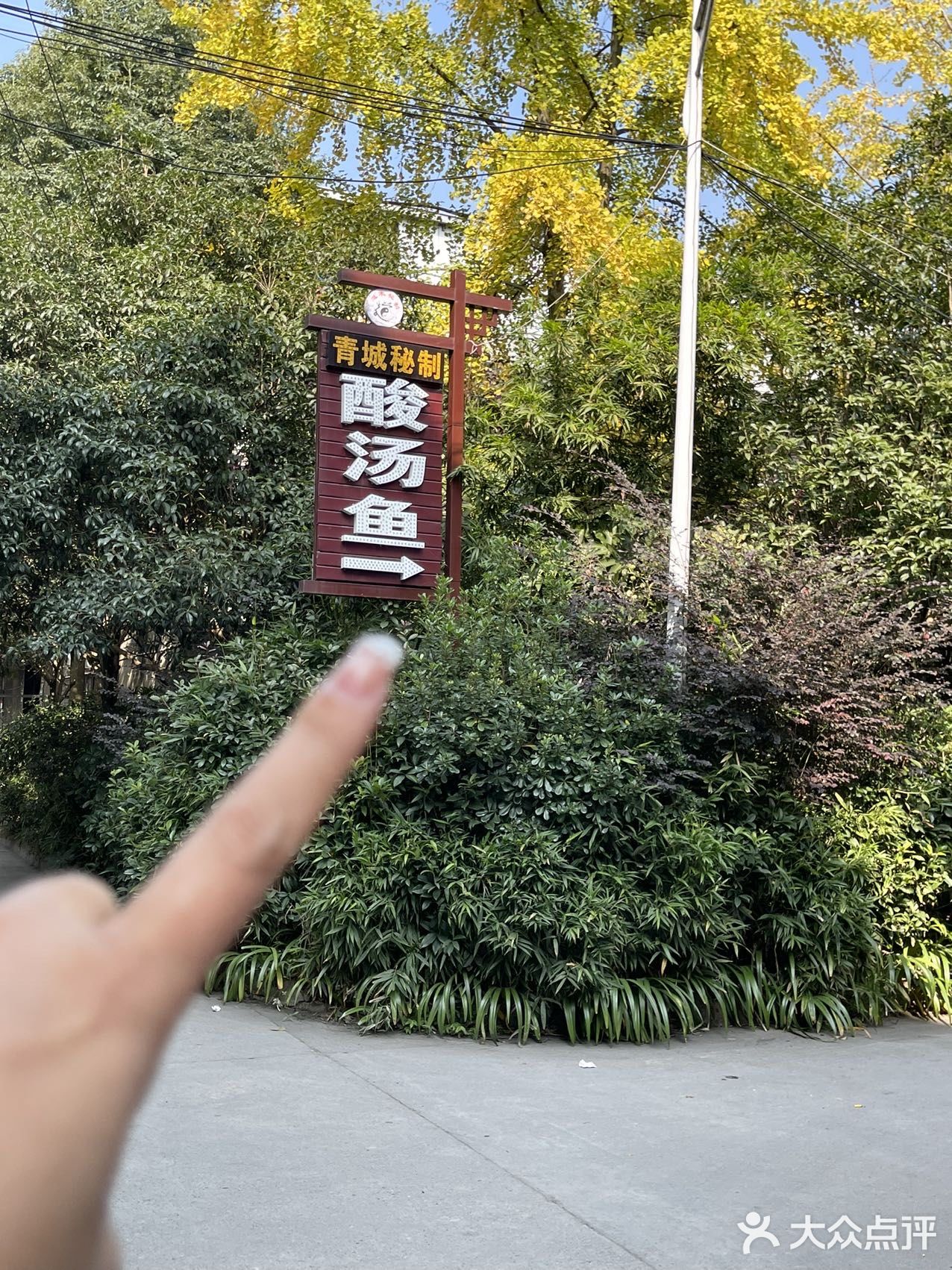 来青城山必吃的酸汤鱼给真是给人香迷糊了