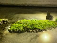 -几荷·恰似故人来(秀水广场店)