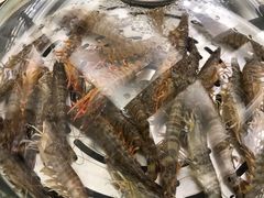 -港畔赶海蒸汽海鲜烧烤自助(仙螺岛店)