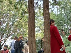 -青州市云门山风景区