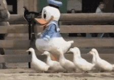 -木辛水水冰煮羊(凤城六路店)