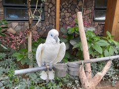 -南宫五洲植物乐园