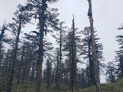 -瓦屋山景区