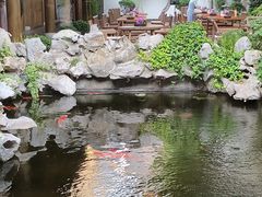 -鲤院·新中式美学·庭院餐厅(夫子庙店)