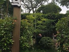 -旅马餐厅(茅家埠店)