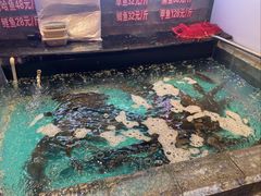 -山河屯铁锅炖鲜鹅·东北菜(开发区一店)