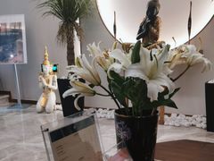 -OMSPA(盛景尚峰店)