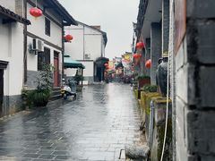 -后柳水乡