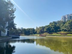 -深圳国际园林花卉博览园