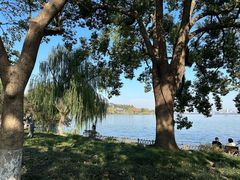 -杭州君悦酒店·青莳