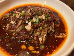 凉拌鸡-铁公鸡·四川料理(天环广场店)