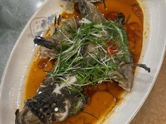 -永記粤菜·五指毛桃花雕鸡煲(九亭店)