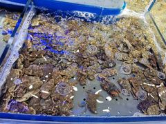 -澜悦港海鲜体验主题餐厅