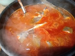 -毛辣果·酸(OHA复兴西路店)